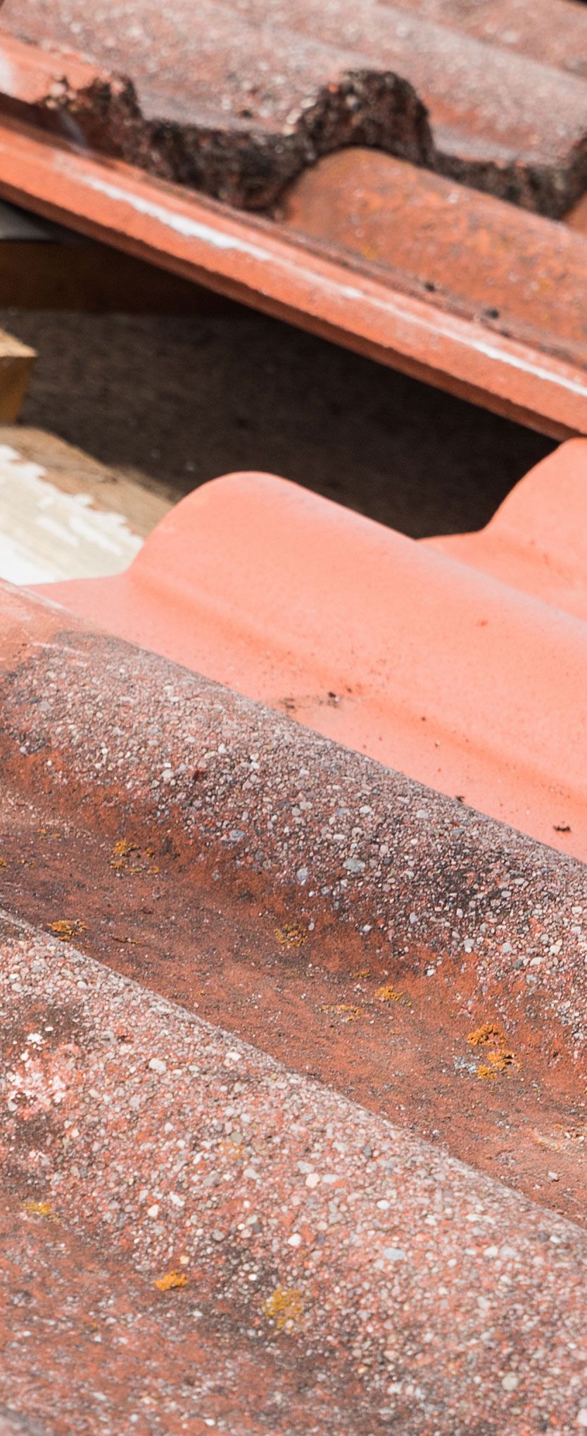 Vue de près sur des tuiles