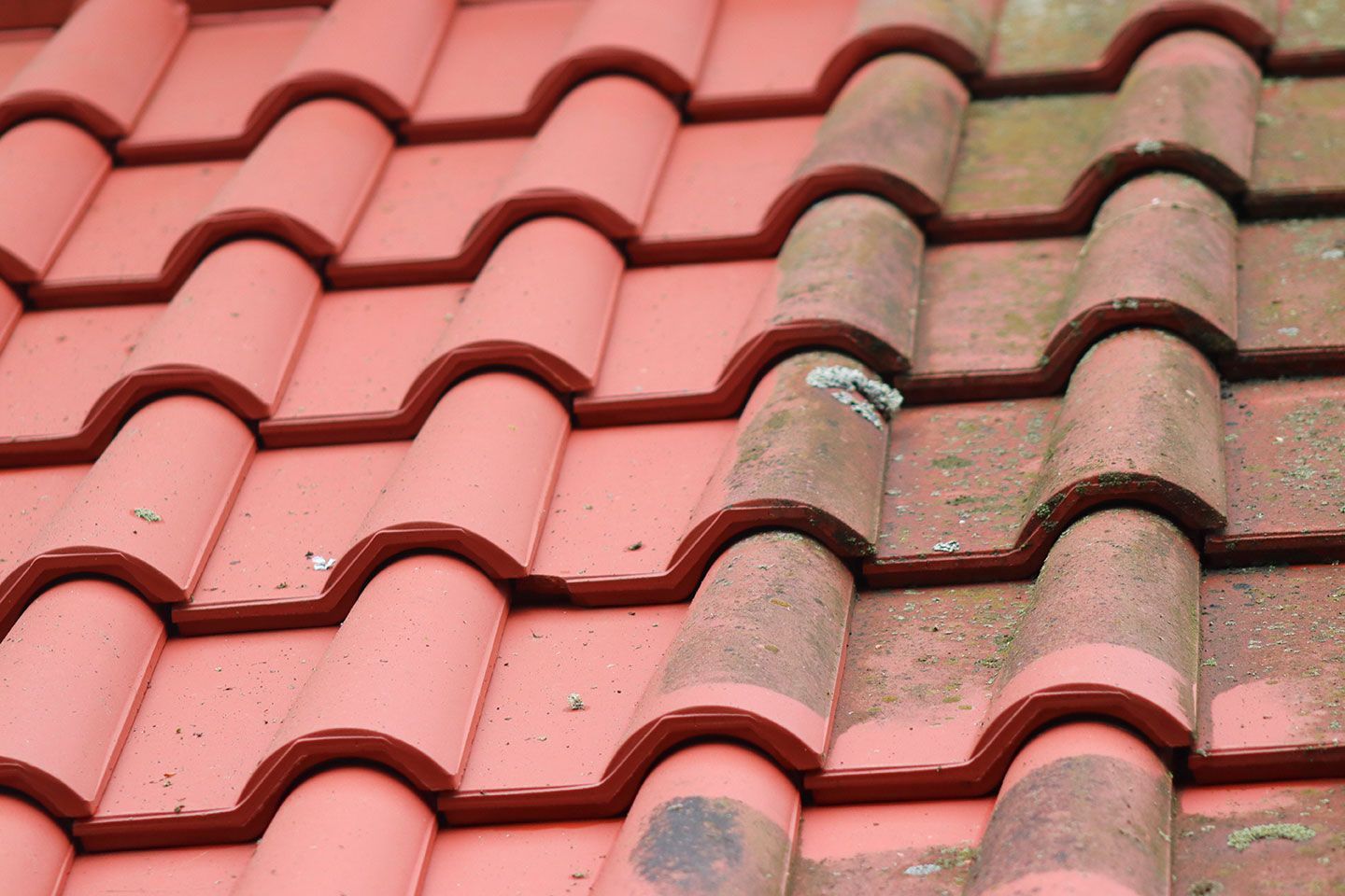 Couverture avec de la mousse