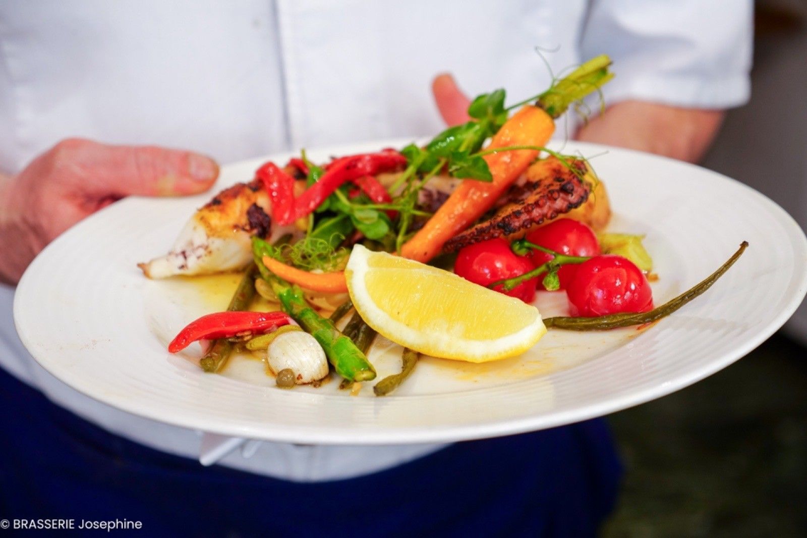 Brasserie Joséphine - plat de poulpe confit