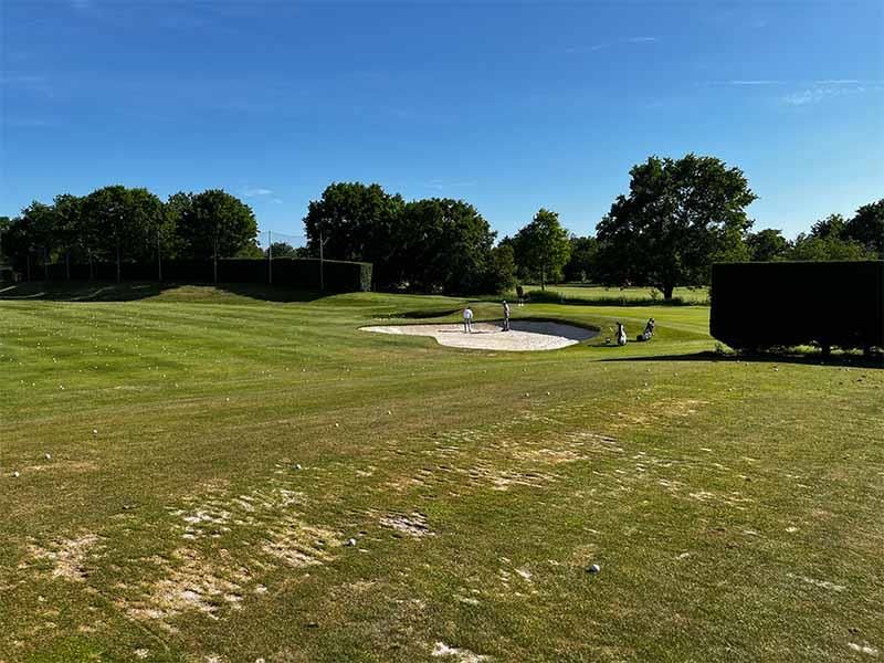 Eine große Wiese mit Bäumen im Hintergrund