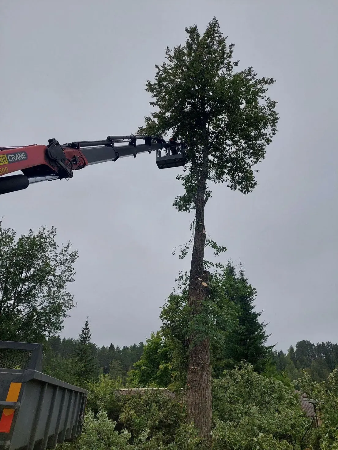 Suonenjoen Kiinteistöhuolto Matsinen Oy