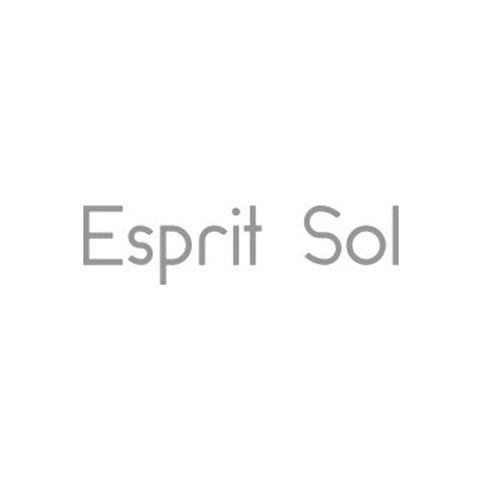 Logo Esprit Sol