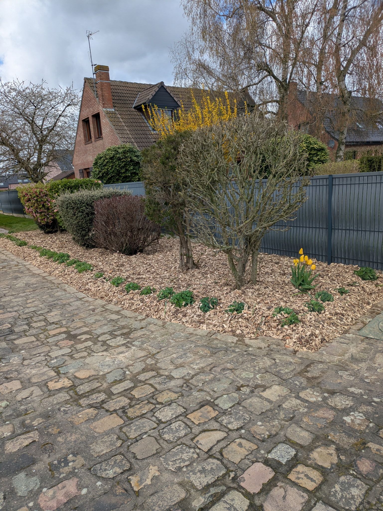 Chemin pavé longeant une haie et une clôture métallique, avec une maison en briques et des arbres dénudés en automne.