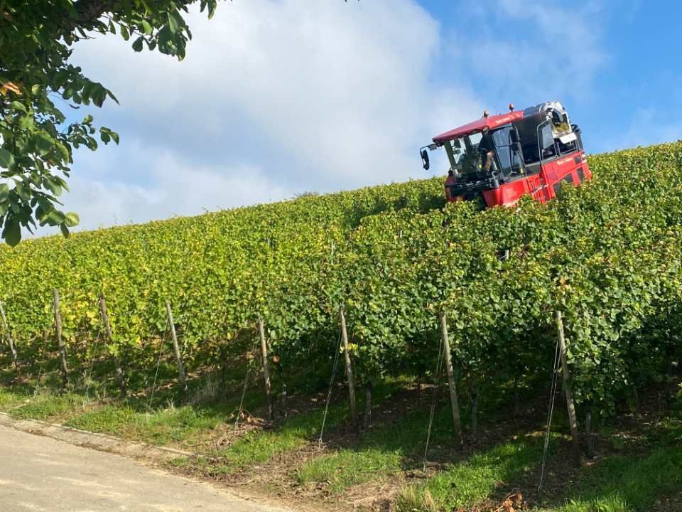 Hank & Scherer Weinbauservice GbR