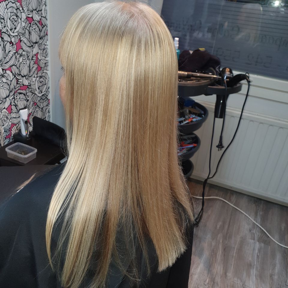 salonsaxiina