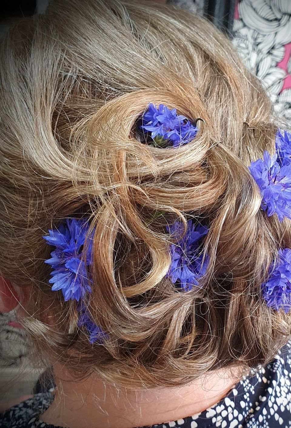 salonsaxiina