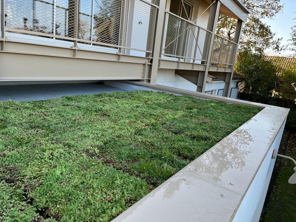 Un toit plat recouvert de végétation.