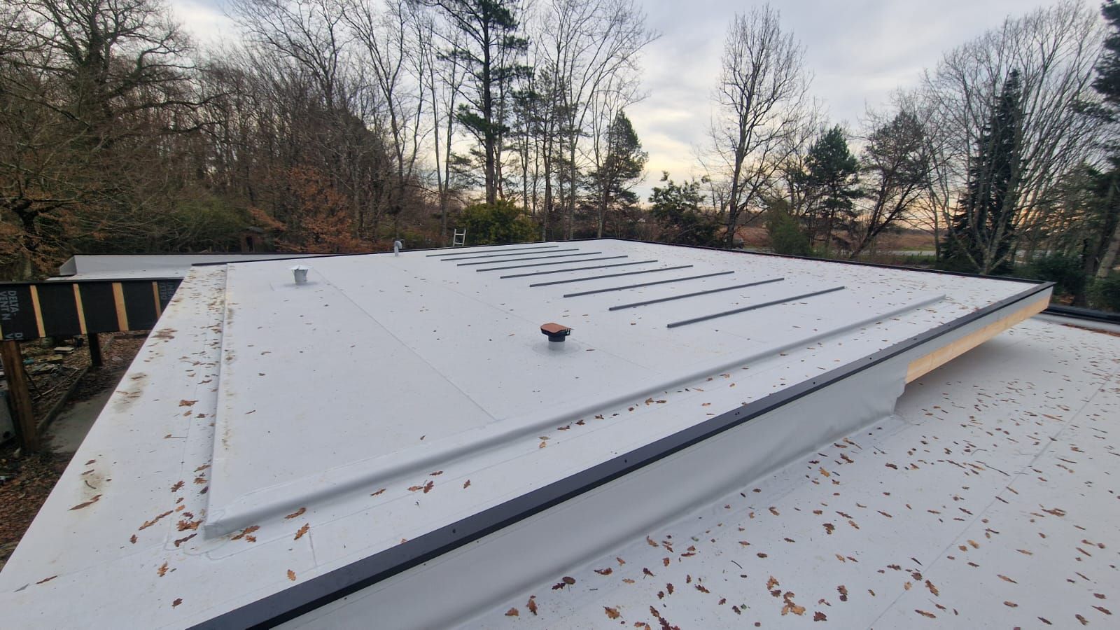 Un toit plat gris clair.