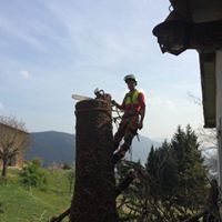 Baumpflege - Land-und Forstmaschinen Marcel Hotz - Bauma