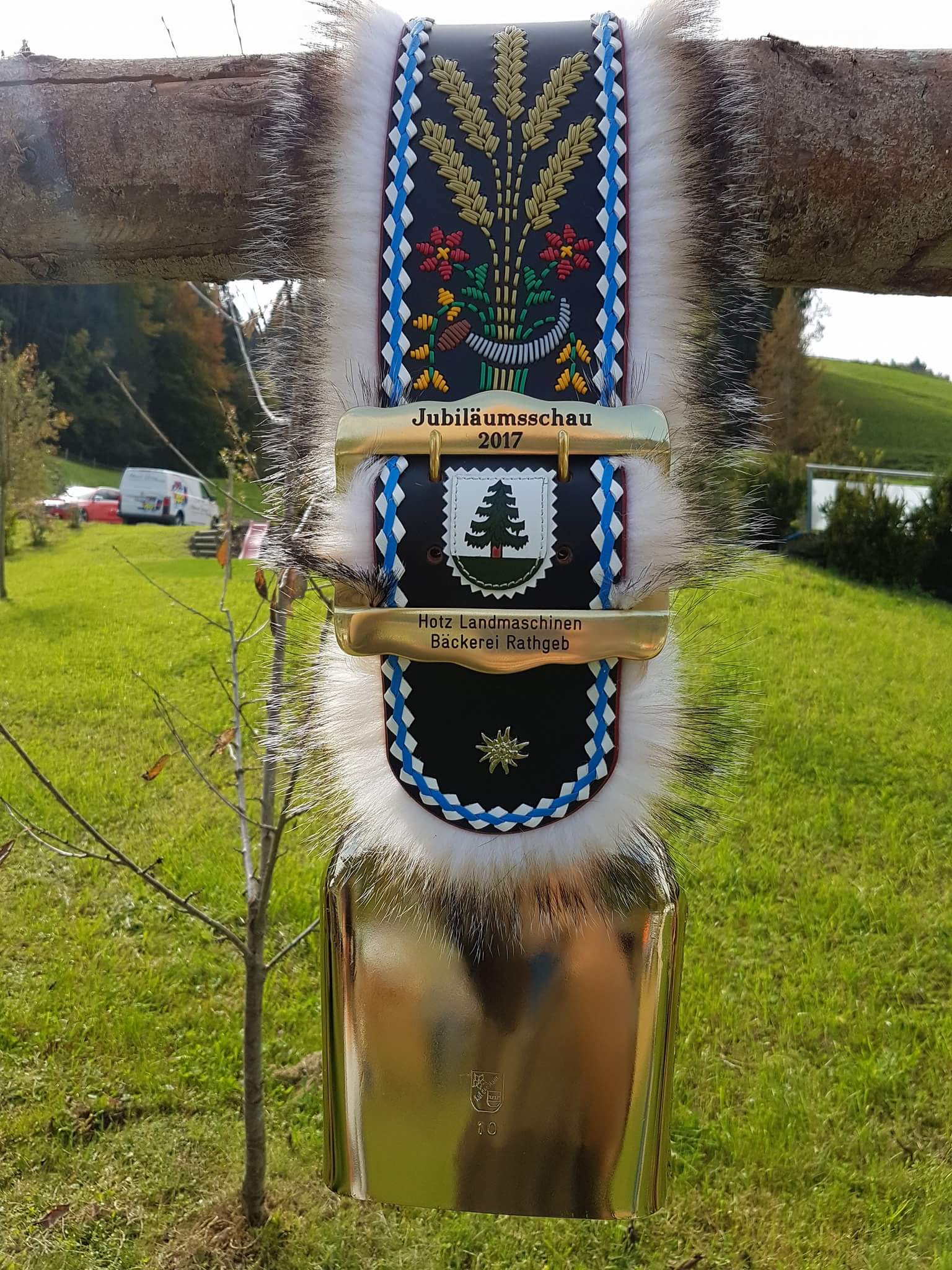 Ausstellungen - Land-und Forstmaschinen Marcel Hotz - Bauma