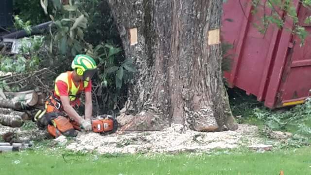 Gartenholzerei - Land-und Forstmaschinen Marcel Hotz - Bauma
