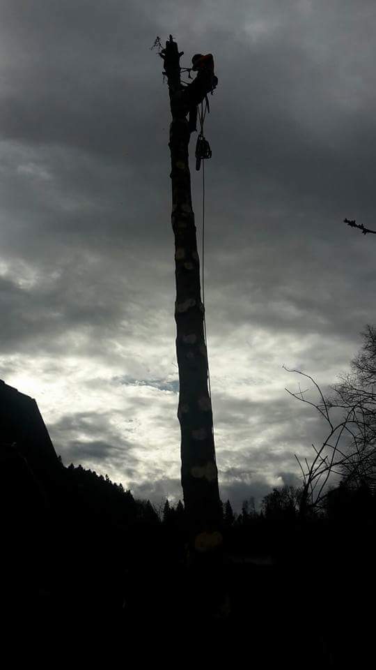 Gartenholzerei - Land-und Forstmaschinen Marcel Hotz - Bauma