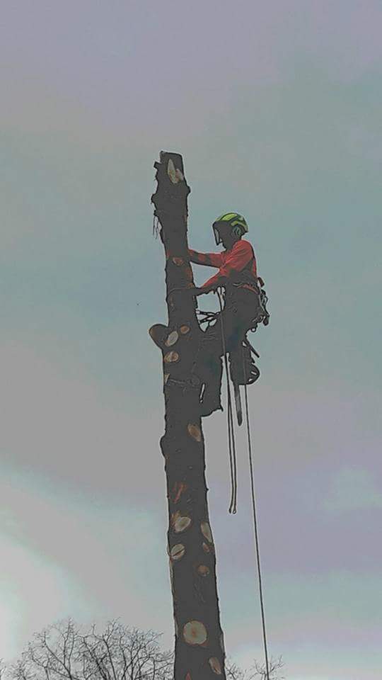 Gartenholzerei - Land-und Forstmaschinen Marcel Hotz - Bauma