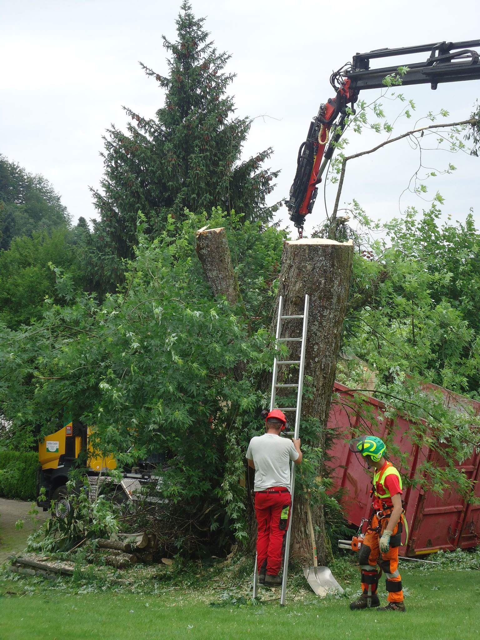Gartenholzerei - Land-und Forstmaschinen Marcel Hotz - Bauma