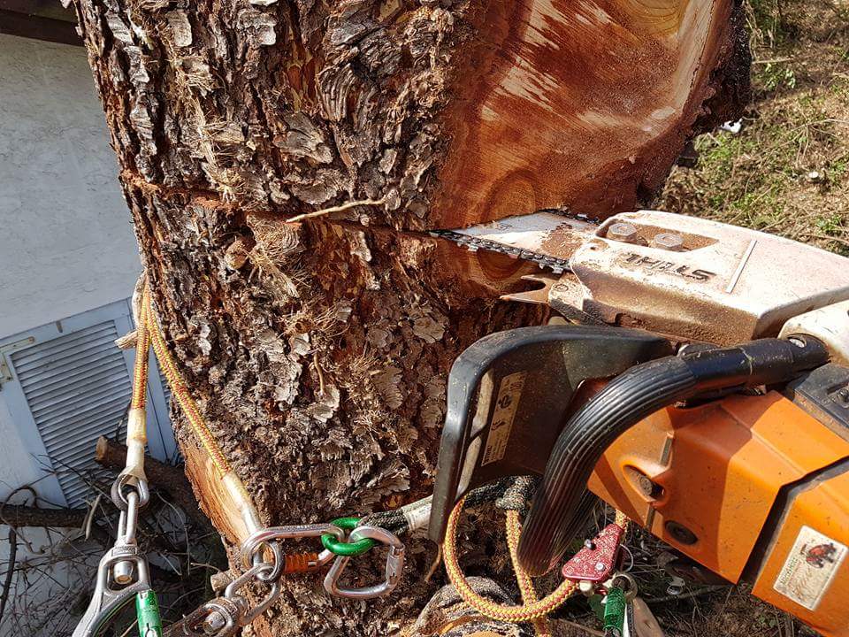 Gartenholzerei - Land-und Forstmaschinen Marcel Hotz - Bauma