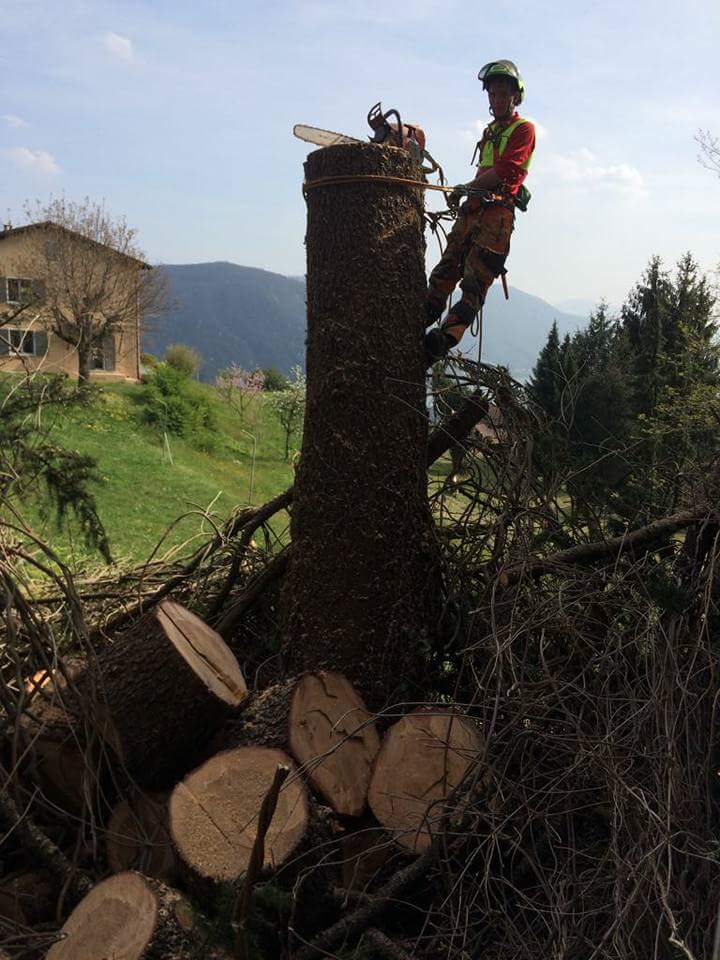 Gartenholzerei - Land-und Forstmaschinen Marcel Hotz - Bauma