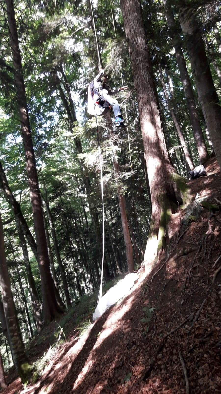 Gartenholzerei - Land-und Forstmaschinen Marcel Hotz - Bauma