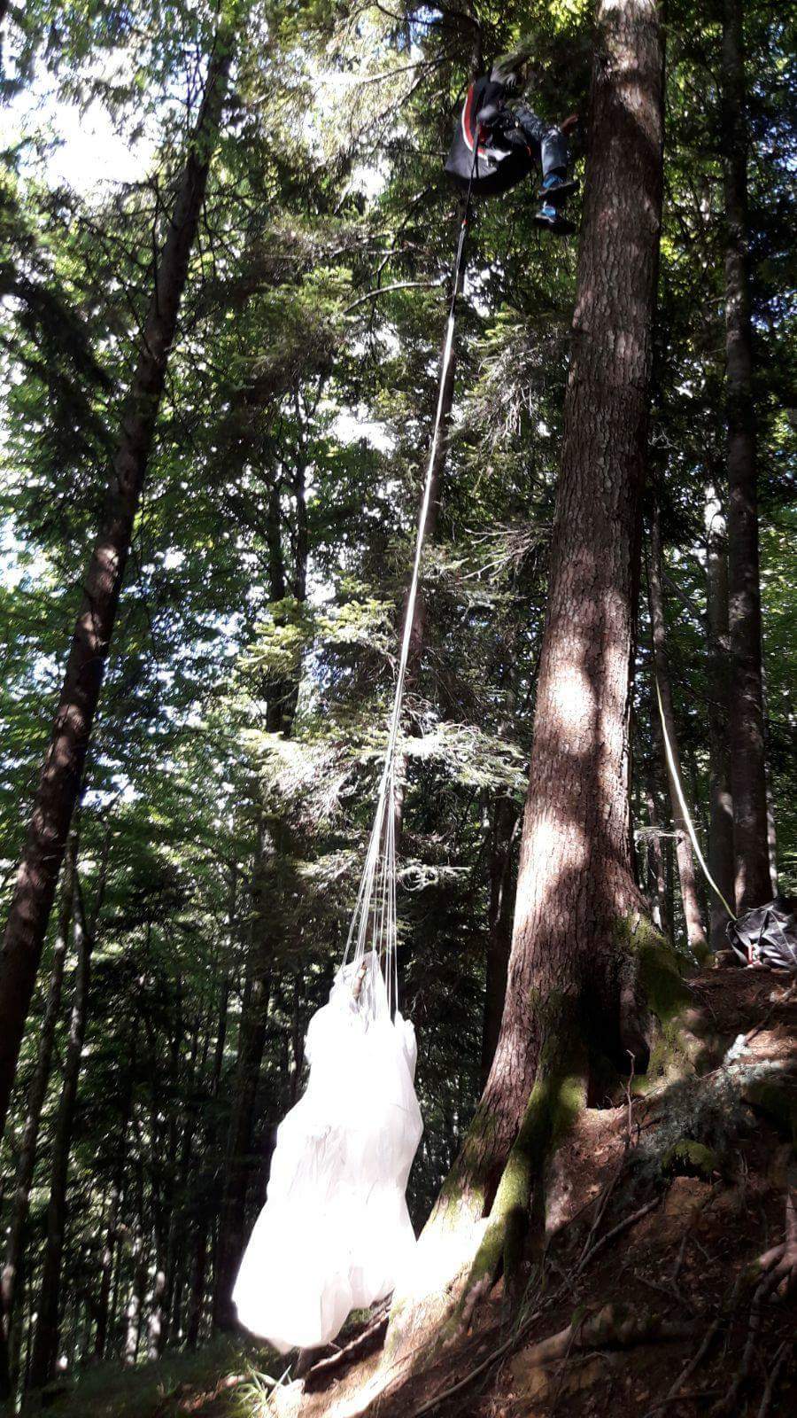 Gartenholzerei - Land-und Forstmaschinen Marcel Hotz - Bauma