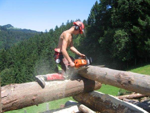 Baumpflege / Forst - Land-und Forstmaschinen Marcel Hotz - Bauma