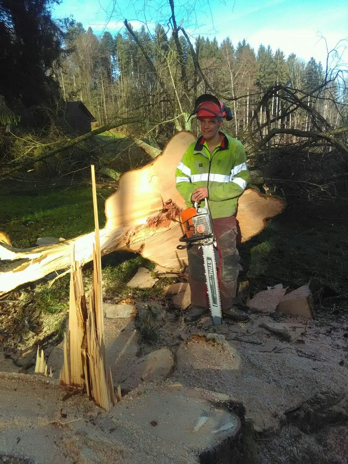 Baumpflege / Forst - Land-und Forstmaschinen Marcel Hotz - Bauma