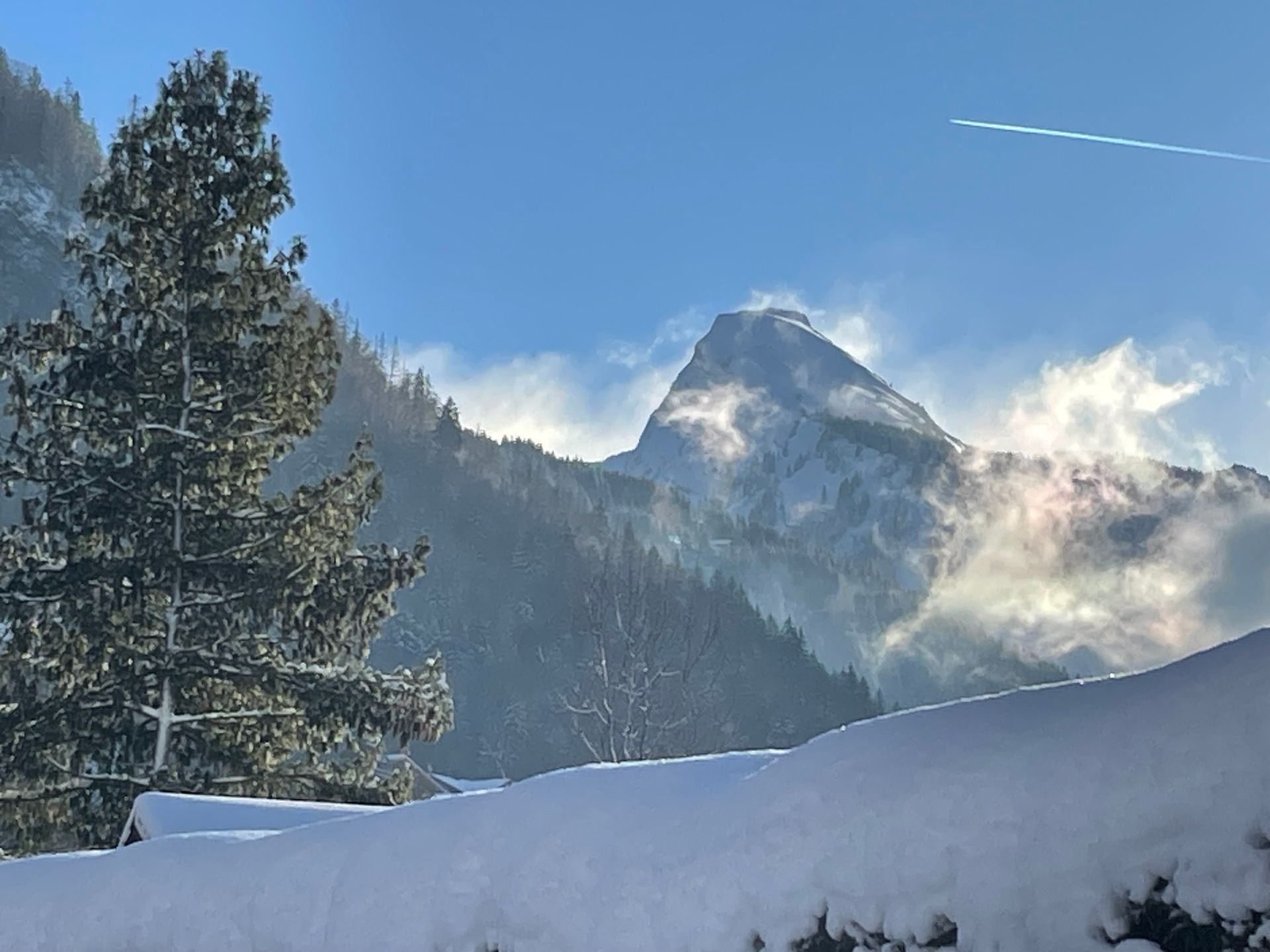 Montagne de la Haute-Savoie avec un grand arbre