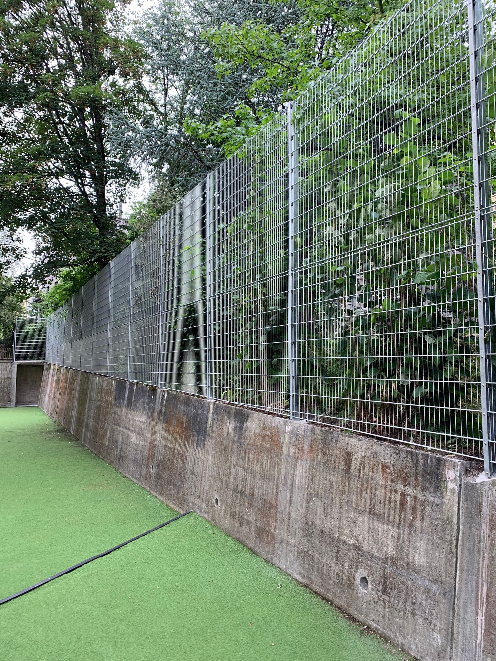 Ballfang - Benz - Zaun