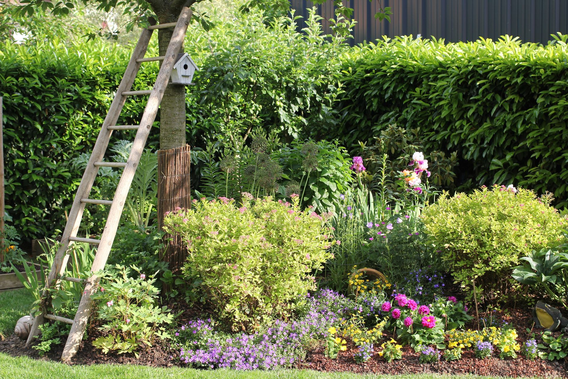Une échelle appuyée contre un arbre dans un jardin luxuriant aux fleurs roses et jaunes épanouies