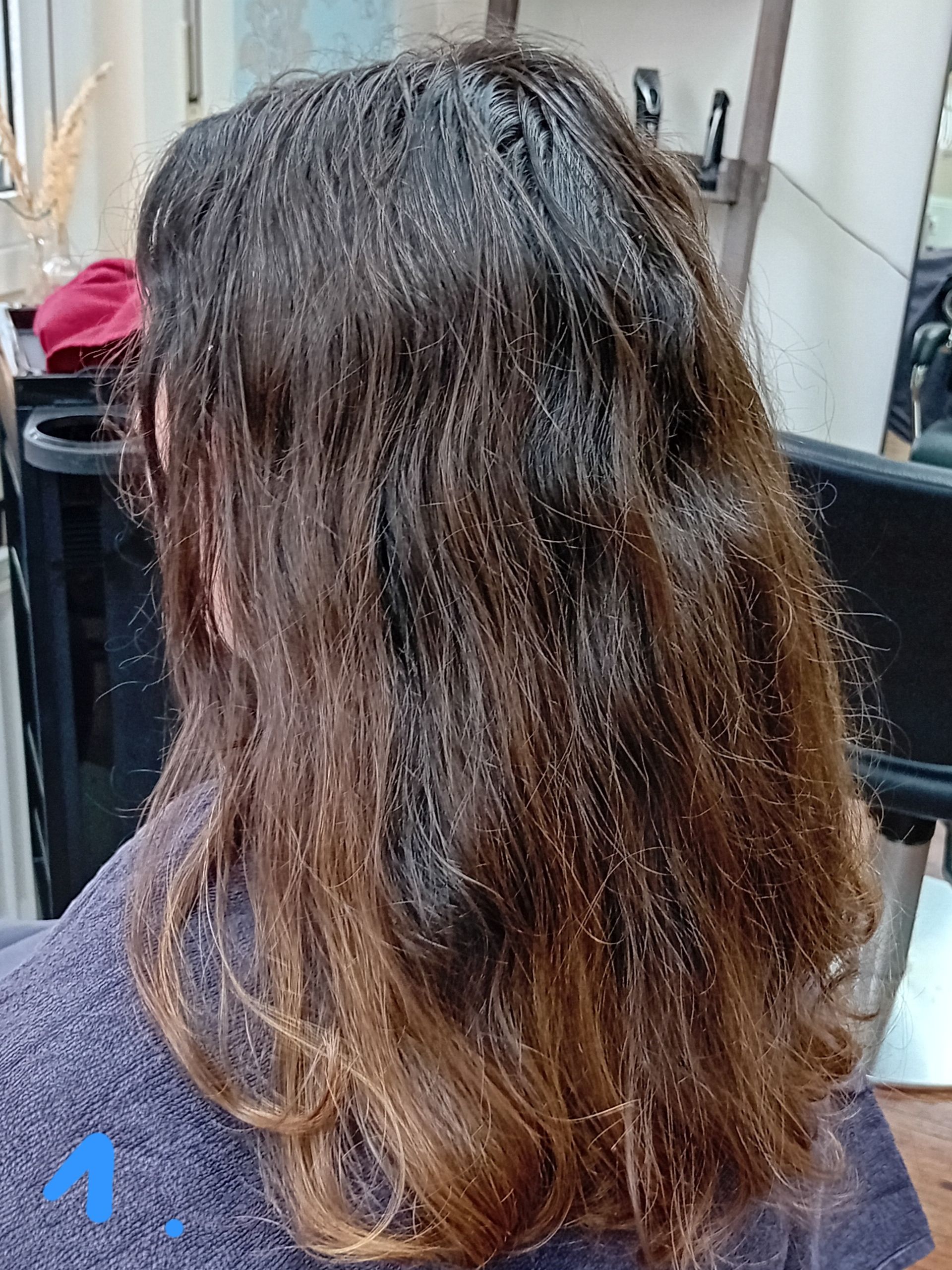 Friseurergebnis – gepflegtes langes Haar nach dem Schneiden und Pflegen