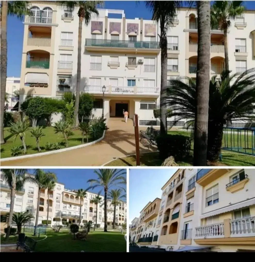 Un collage de fotografías de un edificio con palmeras delante.