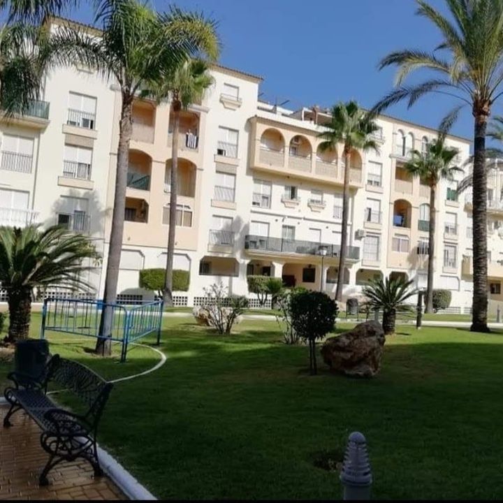 Un parque con un banco y palmeras frente a un edificio.