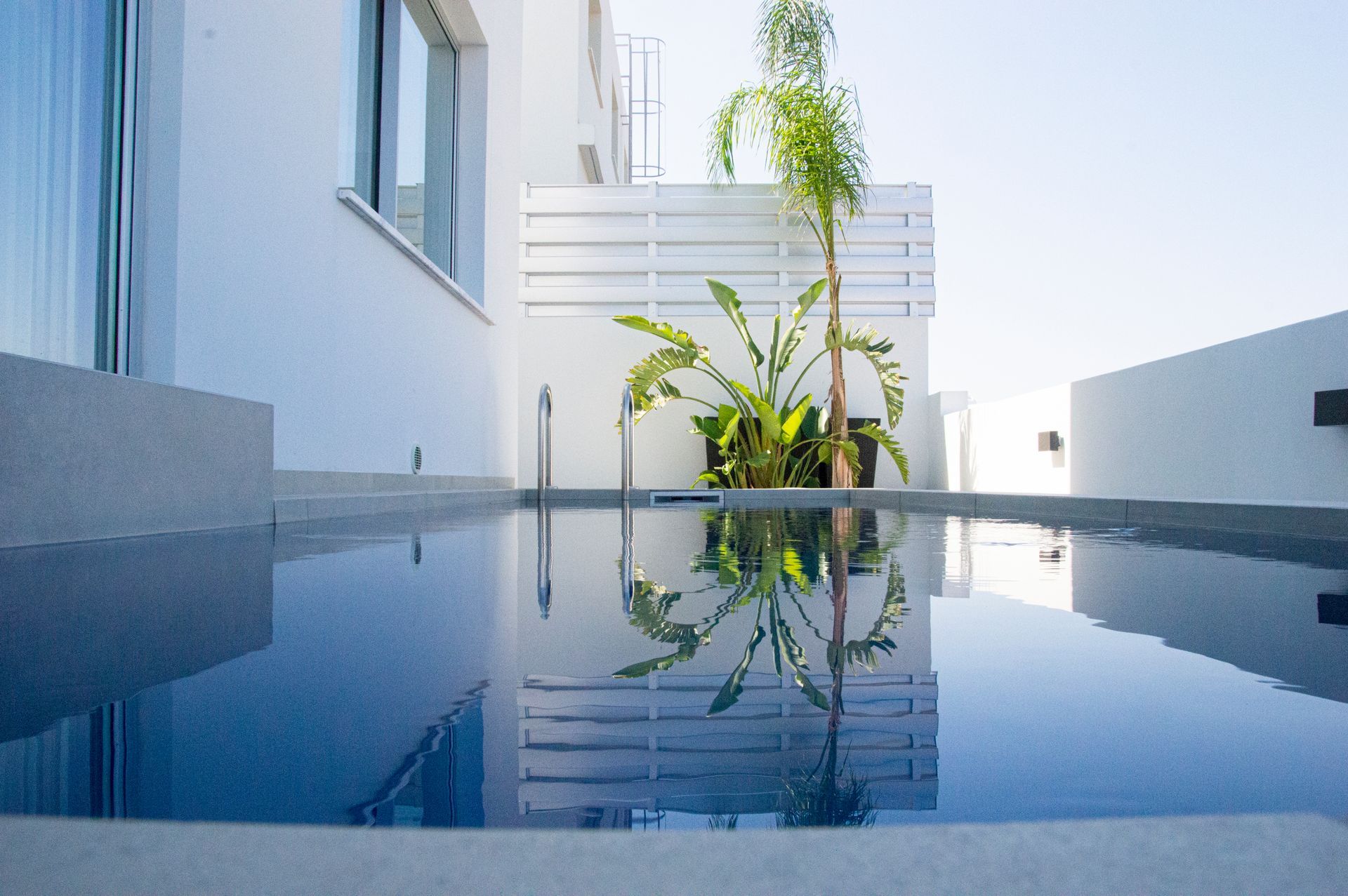 Piscine rectangulaire avec plantes en fond.