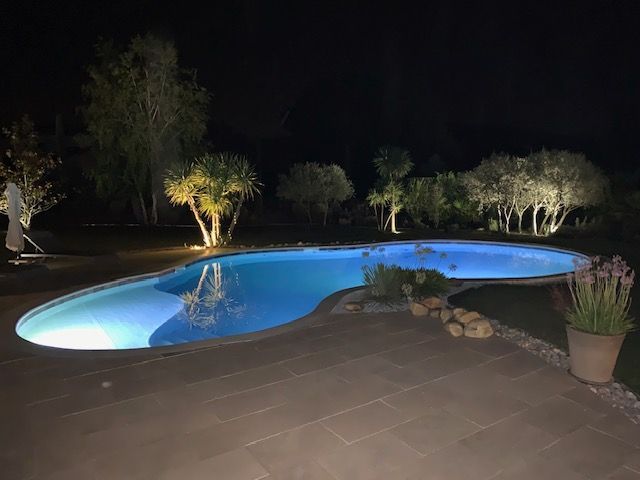 Une piscine avec des palmiers éclairée de nuit.