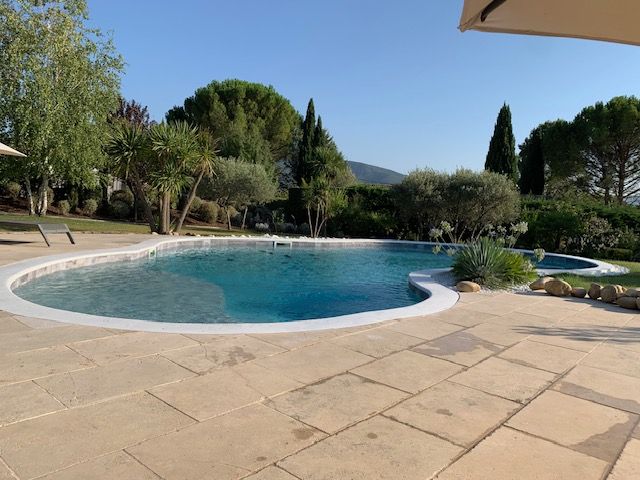 Piscine de jardin avec des palmiers.