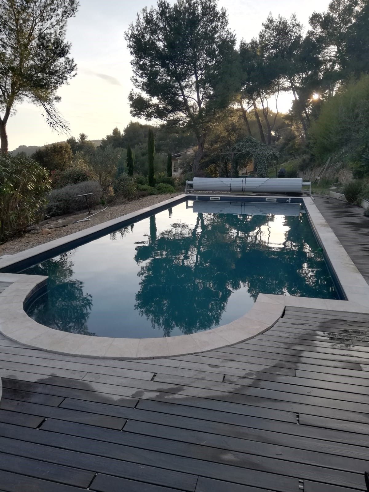 Une piscine rectangle entouré d'arbre.