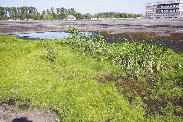 Wartung | Dachdecker Heinemeyer GmbH & Co. KG | Dachdeckermeister | Düsseldorf