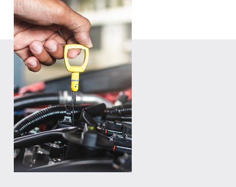 Main d'un professionnel vérifiant des niveaux d'huiles.