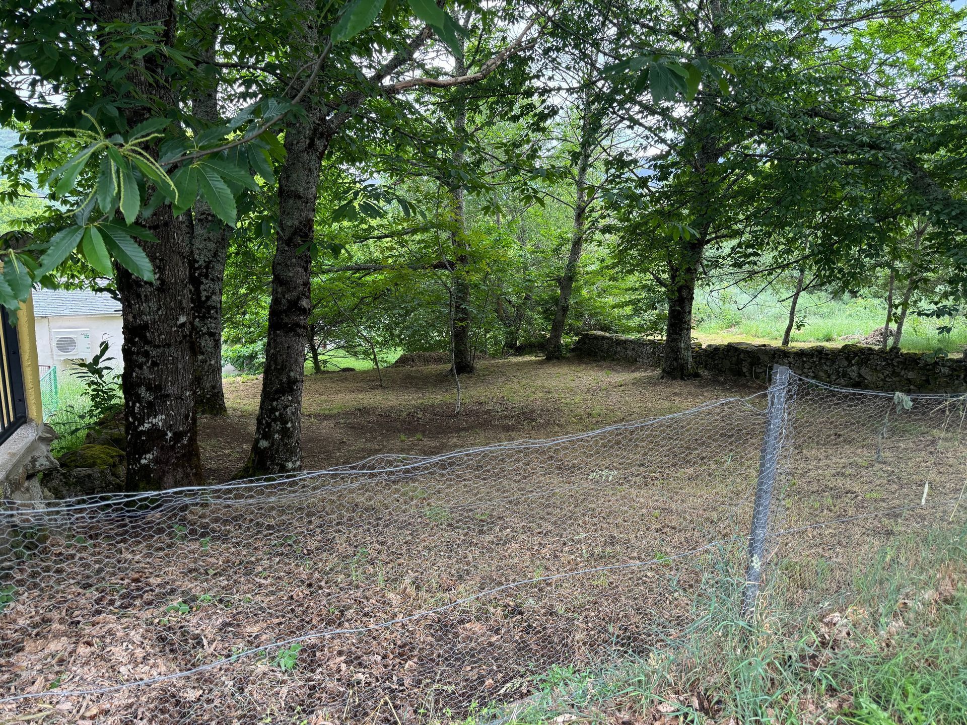 Árboles en un claro cubierto de hojas marrones, rodeado por una valla y un muro de piedra.