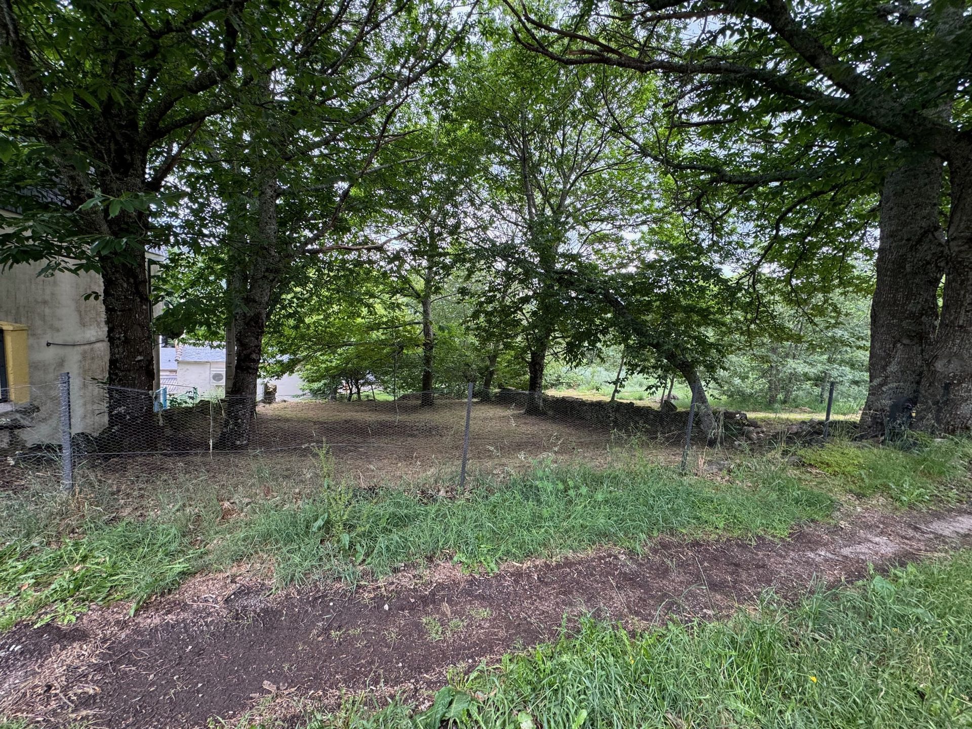 Un camino de tierra conduce a través de la hierba crecida hacia un muro de piedra y árboles en un día nublado.