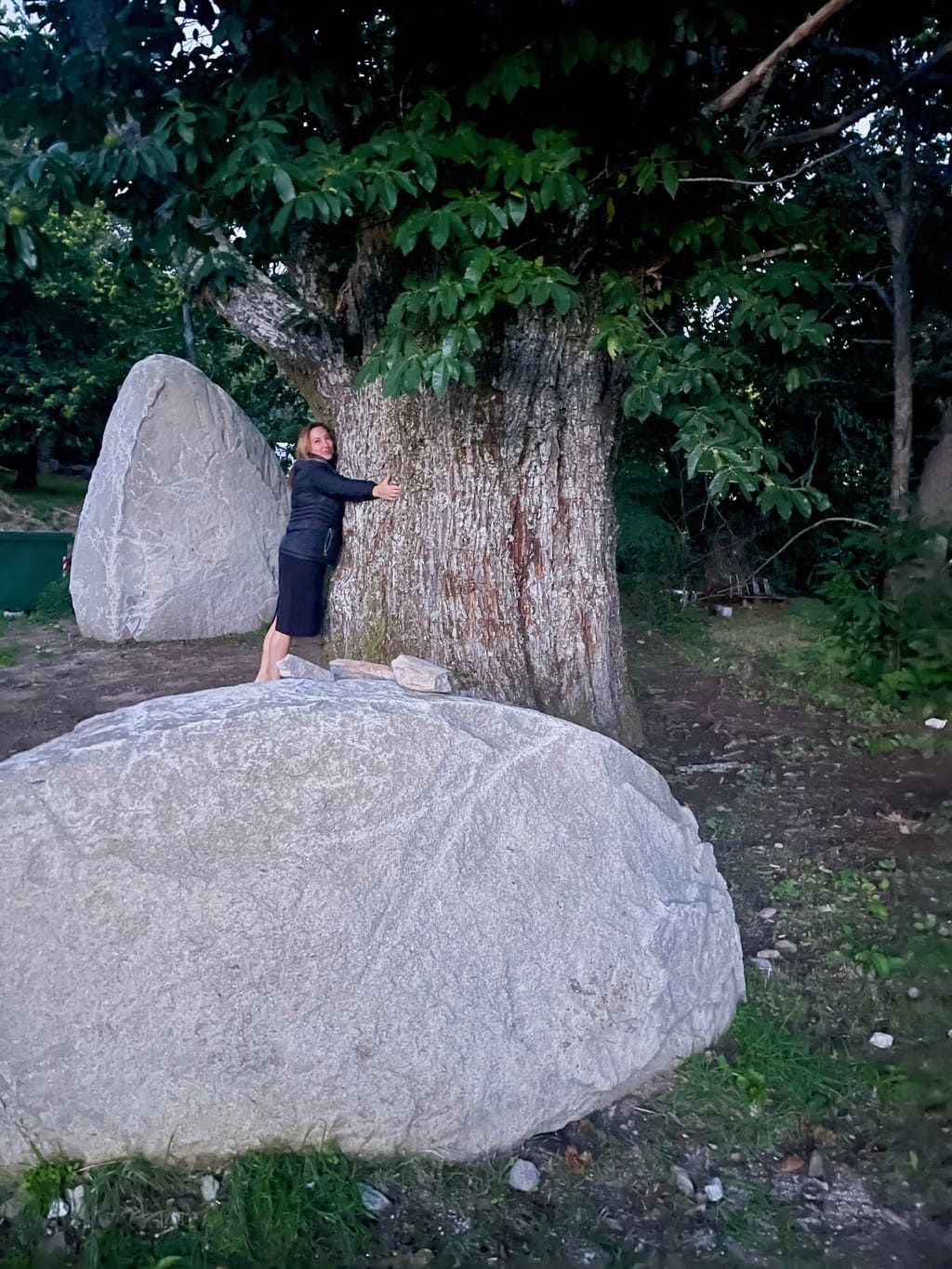 Persona abrazando un gran tronco de árbol, rodeado de grandes rocas, en una zona verde y boscosa.