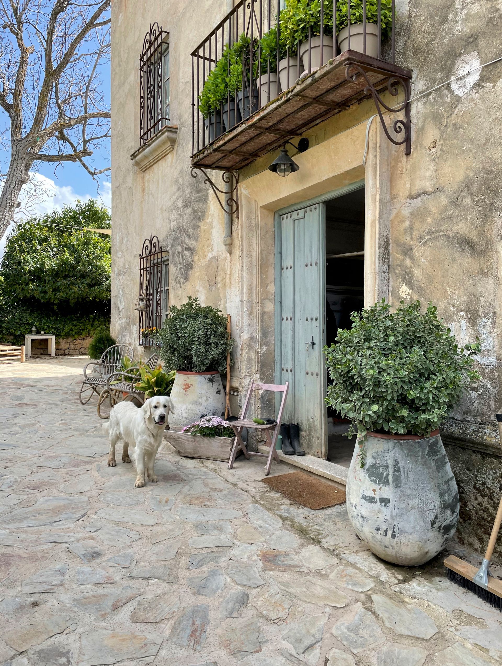 Entrada de piedra a una casa con plantas en macetas, balcón y un pequeño perro blanco en un camino empedrado.