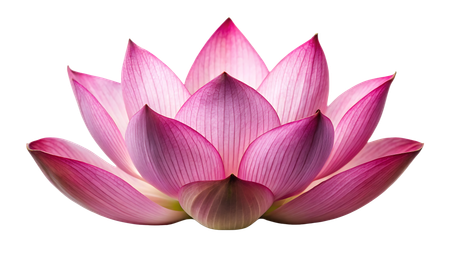 Fleur de lotus