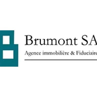 Logo Brumont SA