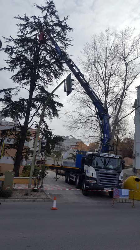 Un camión con una grúa acoplada está cortando un árbol.