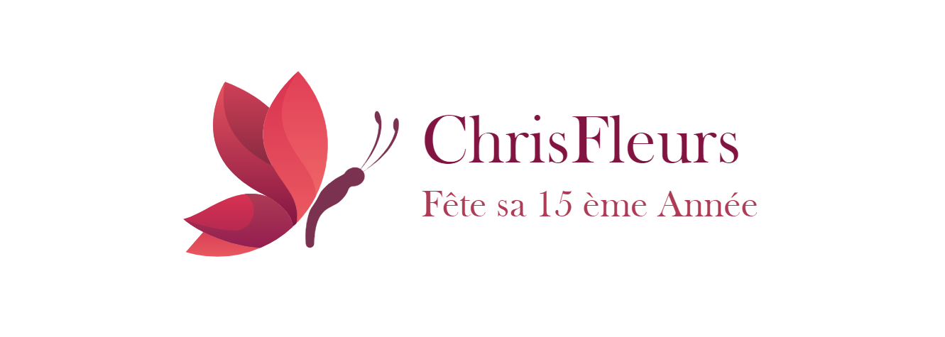 Logo 15 ans