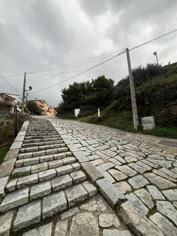 Casa Rural Los Morañegos entorno