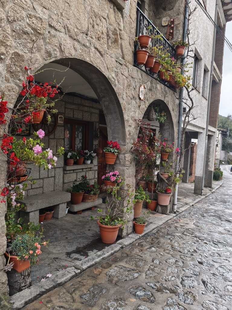 Casa Rural Los Morañegos entorno