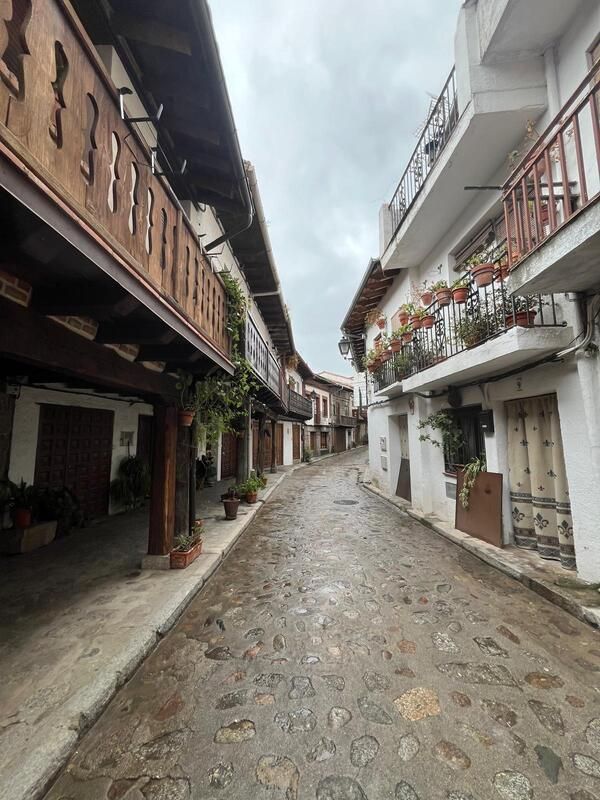 Casa Rural Los Morañegos entorno