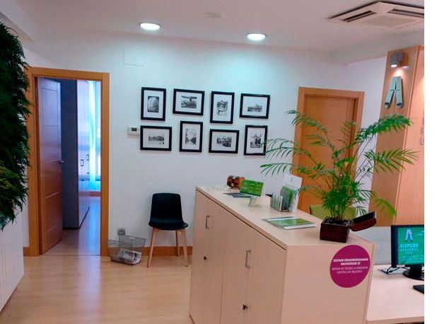 Una habitación con cuadros en la pared y una planta en el mostrador.