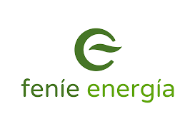Logotipo de Fenie Energía: Forma de