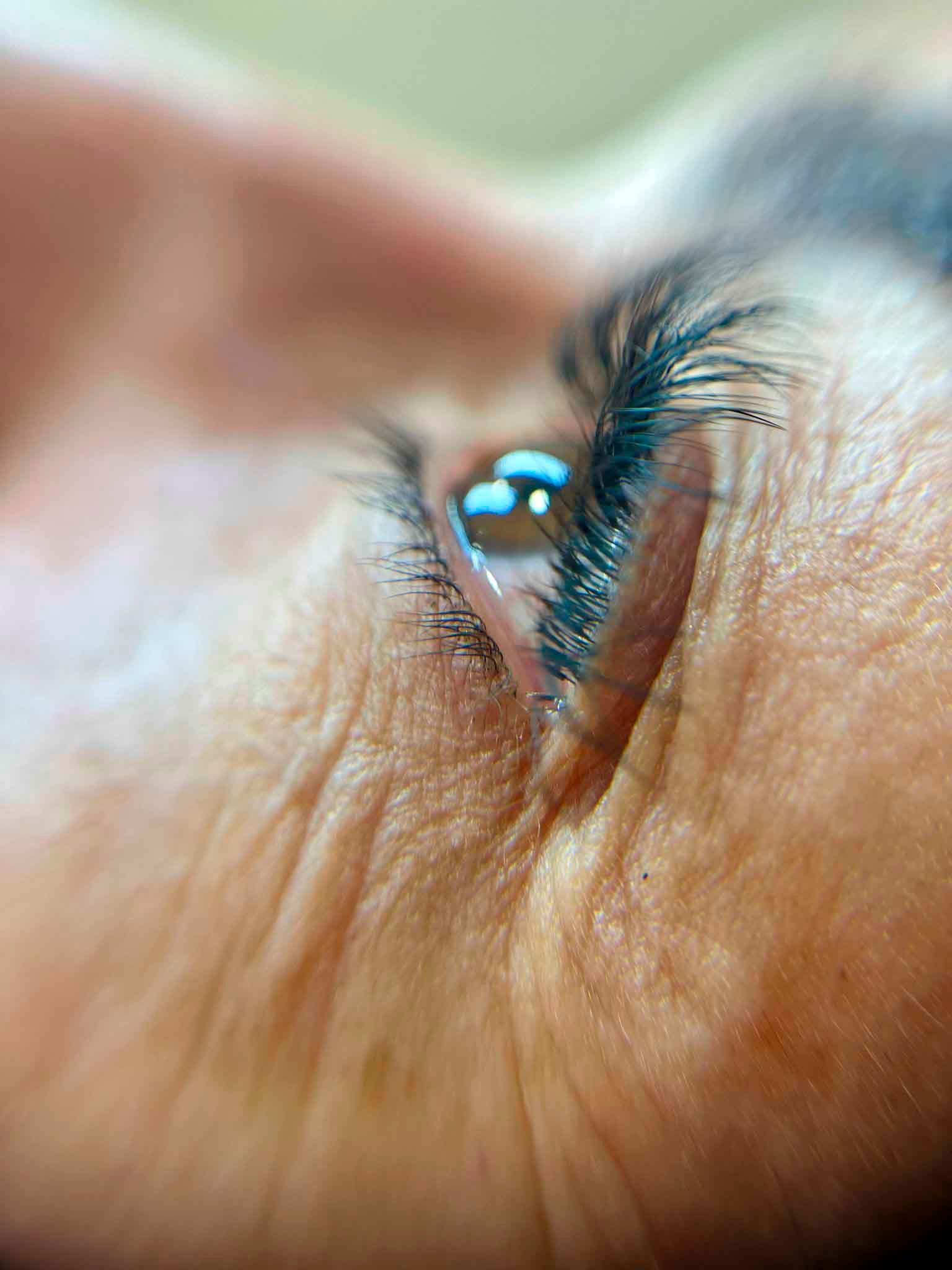 Un primer plano del ojo de una mujer con pestañas largas.